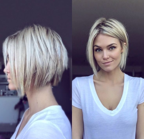 shorthair